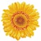 Diamond Dotz® Happy Day Sunflower Diamond Painting Kit